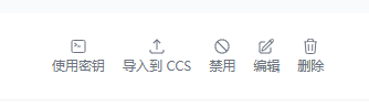 API 密钥列表中使用密钥、导入到 CCS、禁用、编辑、删除等操作按钮截图