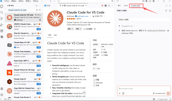 VS Code 中 Claude Code 面板示例图