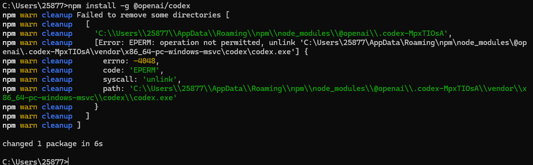安装 Codex CLI 的终端示例图