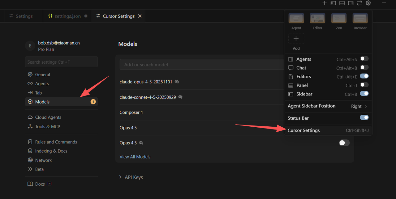 Cursor 模型设置入口示例图
